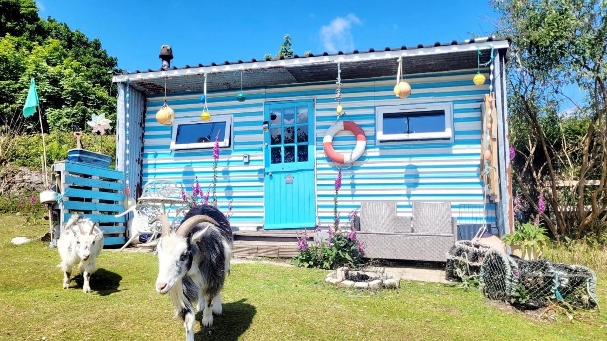 Treguth Glamping Unique Experience - Themed Huts Hotel Saint Day Exterior photo