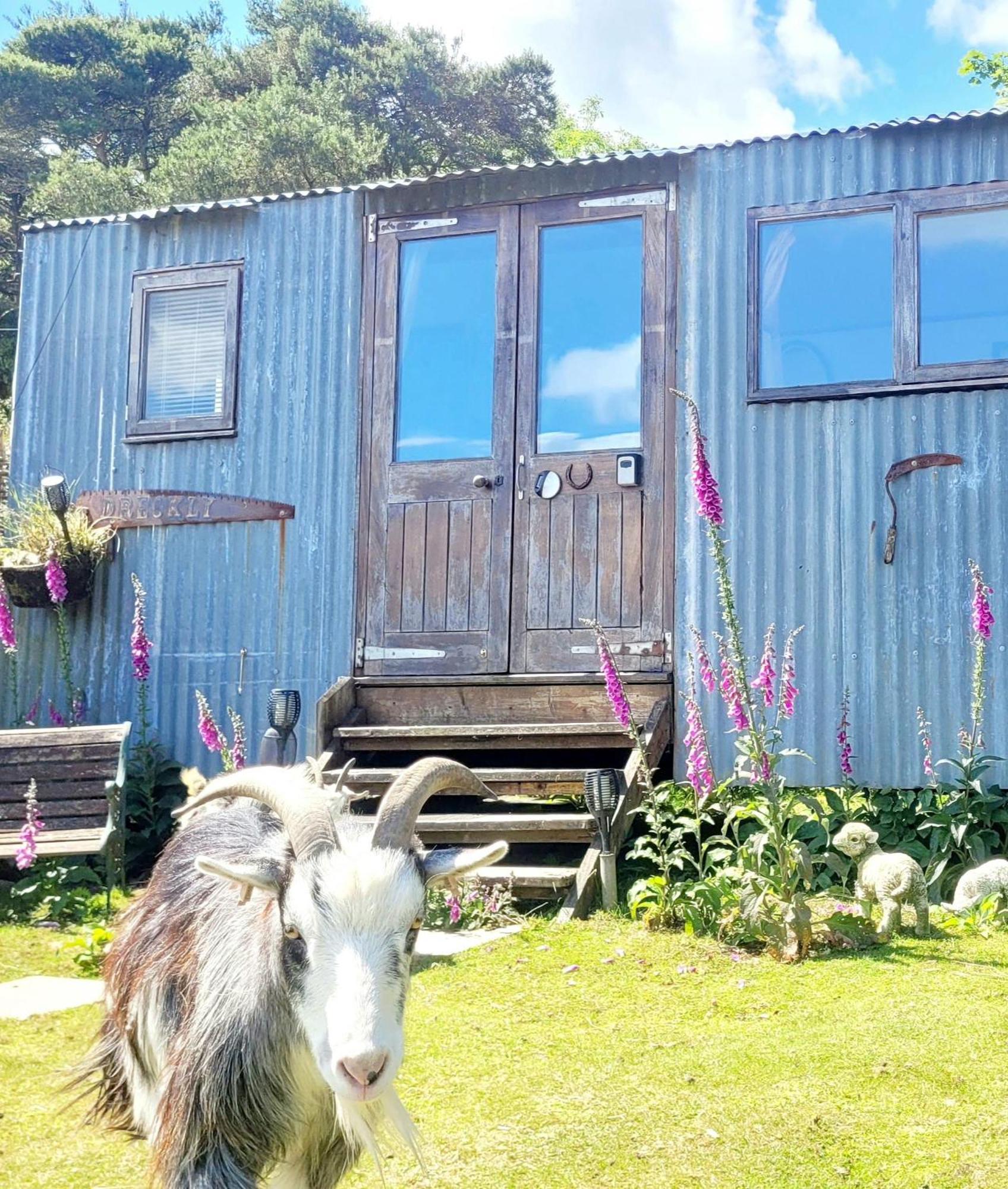 Treguth Glamping Unique Experience - Themed Huts Hotel Saint Day Exterior photo