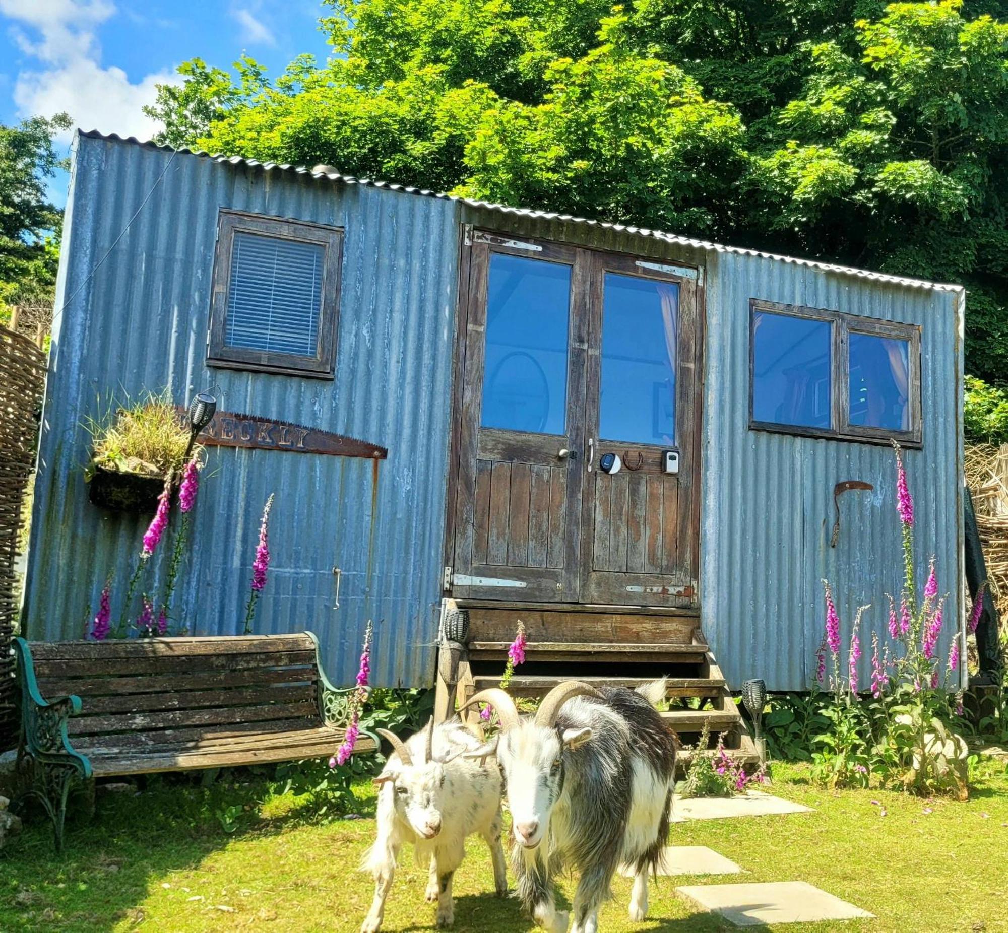 Treguth Glamping Unique Experience - Themed Huts Hotel Saint Day Exterior photo